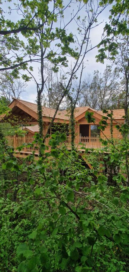 Dome A Bulles Villa Orcines Kültér fotó